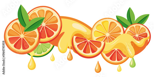 Fresh citrus fruit slices with juice splashes, vector