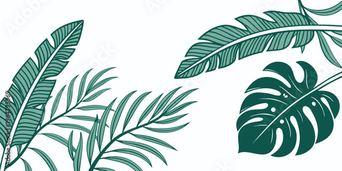 Exotic green tropical leaves botanical illustration, vector