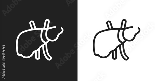 Liver icon. Linear black, white icon from biology collection. Outline liver vector. Thin line symbol isolated on white and black background