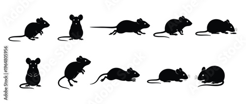 Mouse and Rat Silhouette Set — Black Vector Illustrations of Rodents in Standing, Sitting, Sniffing, Running, and Resting Poses