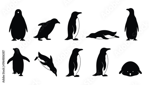 Emperor Penguin Silhouette Set — Black Vector Illustrations of Penguins in Swimming, Standing, Walking, and Resting Poses on White Background