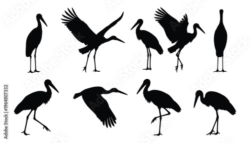 Stork and Ibis Bird Silhouette Set — Black Vector Illustrations of Wading Birds in Standing, Flying, and Feeding Poses