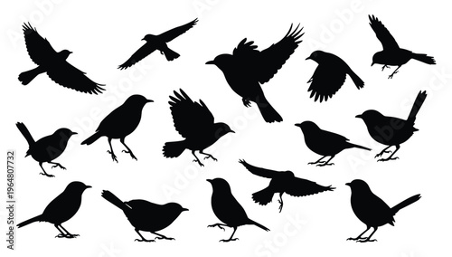 Foto Garden Bird Silhouette Collection — Black Vector Illustrations of Small Songbird