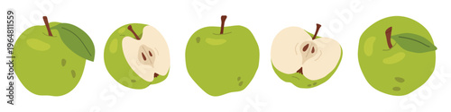 set of green Flat vector apple in line with whole, sliced, half pieces. Cute fruit collection isolated on light background. 