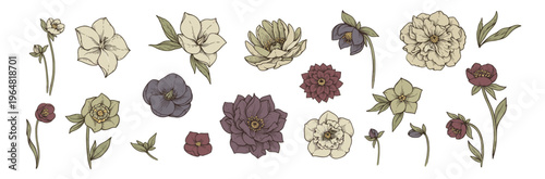 Vintage botanical illustration set featuring hand drawn flowers and leaves in muted tones for elegant floral design projects and wedding stationery isolated on white background for creative