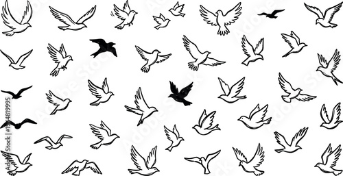 Canvastavla Flying bird silhouettes and outline doves collection, wings spread pigeon seagul