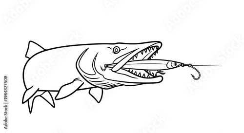 Dynamic predatory fish illustration with fishing lure depicting angling sport pursuit scene