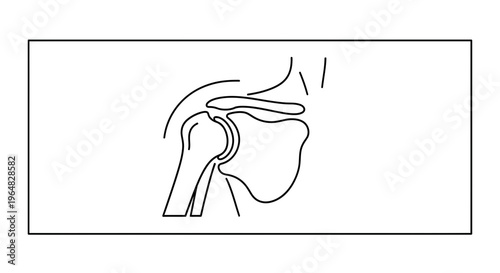 Detailed illustration of the human shoulder joint anatomy showcasing bone structure in profile view