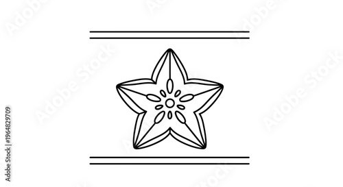 Intricate minimalist star outline with floral center and elegant decorative borders