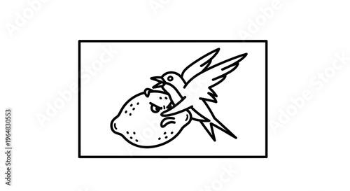 Stylized black and white illustration of a determined bird pecking at an annoyed citrus fruit