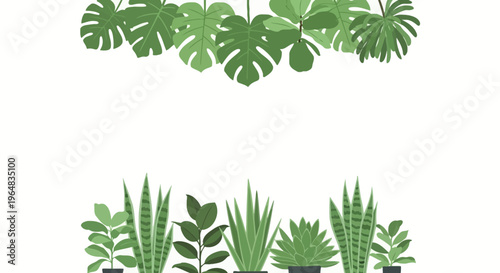 Collection of various green houseplants. Vector Illustrations. EPS Editable