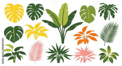 Collection of various tropical leaf types. Vector Illustrations. EPS Editable