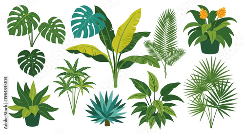 Collection of various tropical leafy plants. Vector Illustrations. EPS Editable