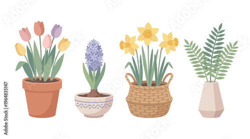 Colorful flowers in decorative pots and baskets. Vector Illustrations. EPS Editable