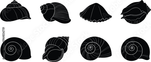 Sea snail shell silhouette set. Marine mollusk collection with spiral and conch shell shapes. Black ocean elements for coastal design, underwater themes and nature illustration.