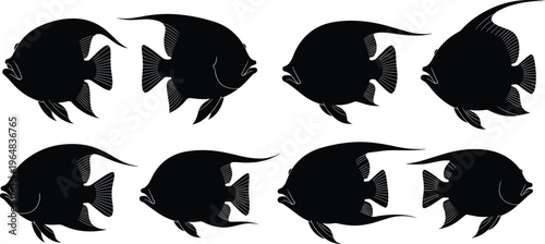 Lanternfish silhouette collection. Deep sea fish vector set with rounded bodies and fin variations. Black marine life illustrations for ocean wildlife, aquarium and underwater design.