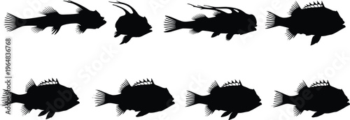 Lanternfish silhouette vector set. Deep sea fish collection with detailed fins and body shapes. Black marine life illustrations for ocean wildlife, aquarium and underwater design.
