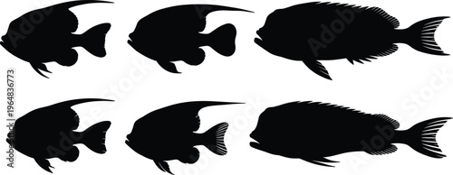 Lanternfish silhouette vector set. Deep sea fish collection with detailed fins and body shapes. Black marine life illustrations for ocean wildlife, aquarium and underwater design.