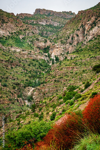 Summer monsoon rain tumbles down a deep canyon in the Santa Catalina mountains near Tucson Arizona