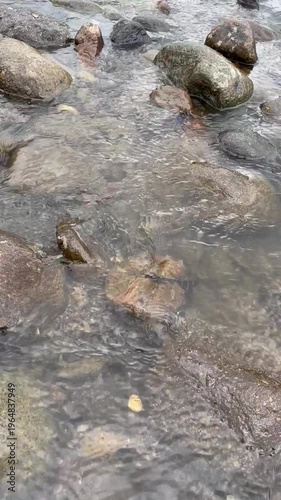 Clear River Water Flowing Gently Over Smooth Stones in a Shallow Stream