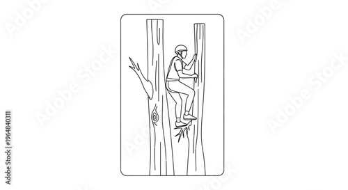 Arborist Climbs Tall Tree with Tools, Arboriculture Work, Outdoor Activity