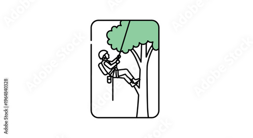 Arborist Climbs Tree with Rope, Arboriculture, Tree Care, Outdoor Activity, Green Canopy