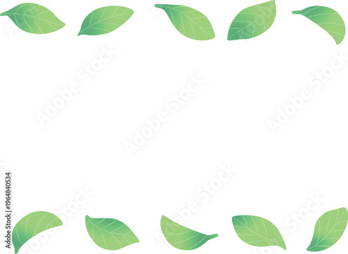 かわいい葉っぱが並んだ新緑のフレーム素材（上下、横長）ベクター