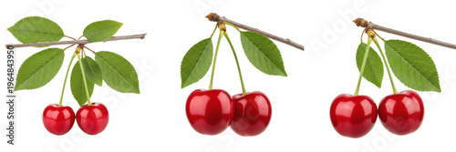 Quadro su tela Sweet red cherry pair with leaves on branch isolated on white background, Prunus