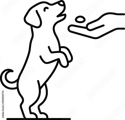 A cute dog standing on its hind legs and looking up at a hand offering a treat