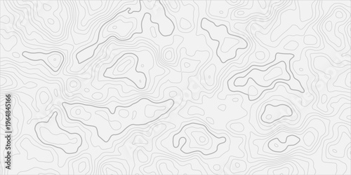 Abstract Elevation Map Linear Background with Smooth Contour Curves, Seamless Geographic Terrain Mapping Design, Clean White Background, and Minimal Modern Topographic Line Art Style for Professional 