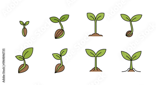 Plant Growth Stages Seedling Sprouts Icons Set.