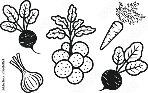 Assortment of Root Vegetables and Garlic onion radish