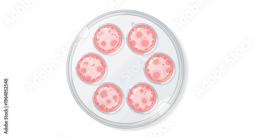 Petri dish with pink bacterial colonies.