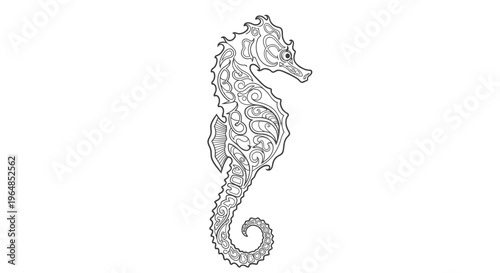 A detailed line drawing of a seahorse.