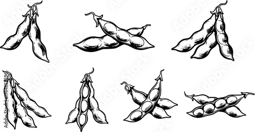 Elegant Sumi-e Illustration of Soybeans Pods with Ink Brush Style