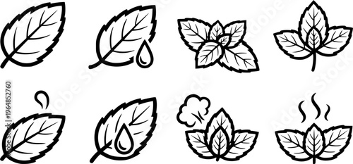 Mint leaf cartoon vector set illustration of icon 