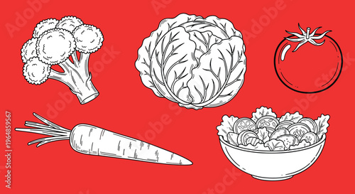 A stylized illustration of a radish on a red background, conveying freshness and simplicity.
