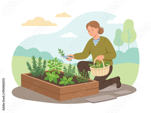 Woman tending to a raised garden bed with fresh herbs.