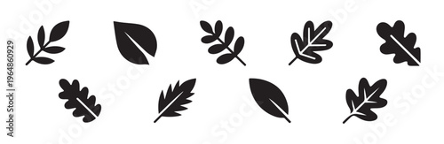 Leaves icon set black color vector illustration autumn forest plants collection isolated
