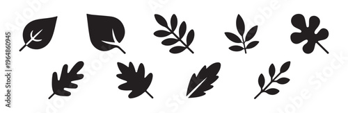 Autumn leaves icon set black color vector illustration diverse forest plants collection
