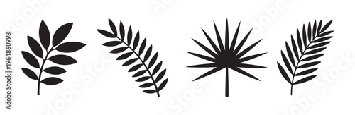 Various tropical palm frond silhouettes collection for beach wedding and exotic summer decor