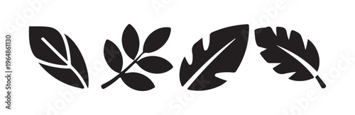 Картината върху платно Four black silhouette icons of various jungle and forest leaves like monstera an