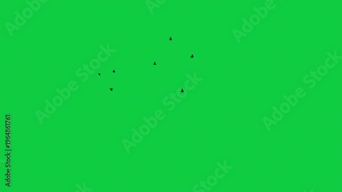 Sunset Sea Birds Animation Pack – 5 Silhouette Shots Cinematic Overlay VFX Green Screen
