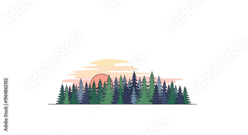 Illustration of a pine tree forest.
