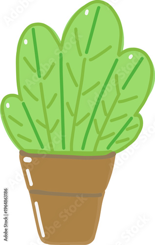 Nature’s Refreshing Touch