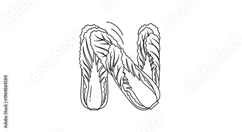 Monochromatic Line Art Alphabet N Composed of Freshly Designed Cabbage Vegetable Leaves