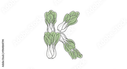 Creative letter K typography formed by fresh green bok choy vegetables on a clean white background