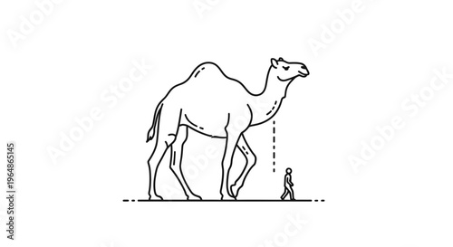 Abstract linear depiction of a dromedary and a human presenting a striking scale contrast on a