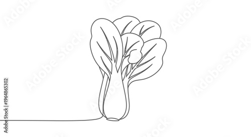 Minimalist single continuous line art drawing of a fresh bok choy vegetable, emphasizing organic