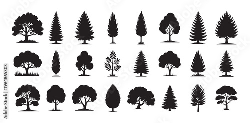 Set of black trees silhouettes. Tree vector collection, for forest and park landscape designs